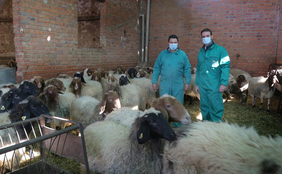 Salir de la tierra para aprender a quedarse en ella