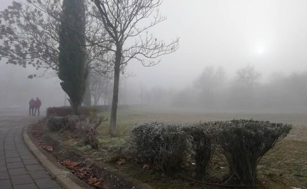 Valladolid, Palencia, Zamora y León, en nivel amarillo por bancos de niebla