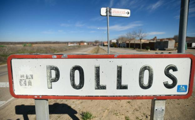 Pollos renuncia a la cabalgata de reyes y a las luces navideñas