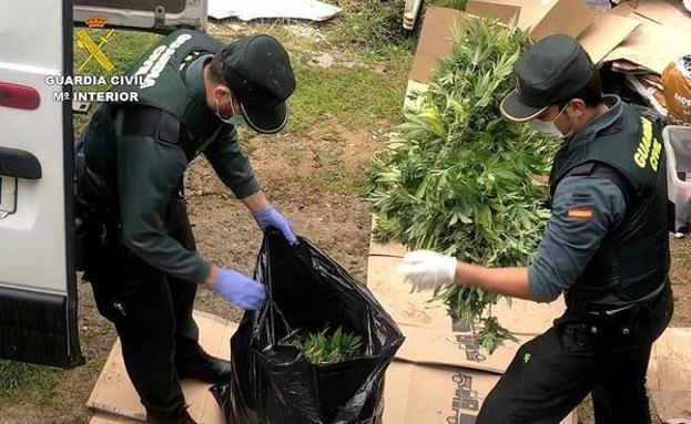 Tres detenidos y más de 100 kilos de marihuna incautados en Ávila