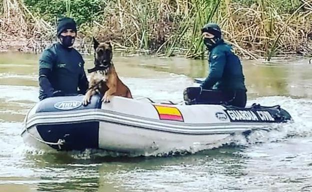 Perros de búsqueda subacuática intentan localizar a la anciana desaparecida en la localidad leonesa de Valderas