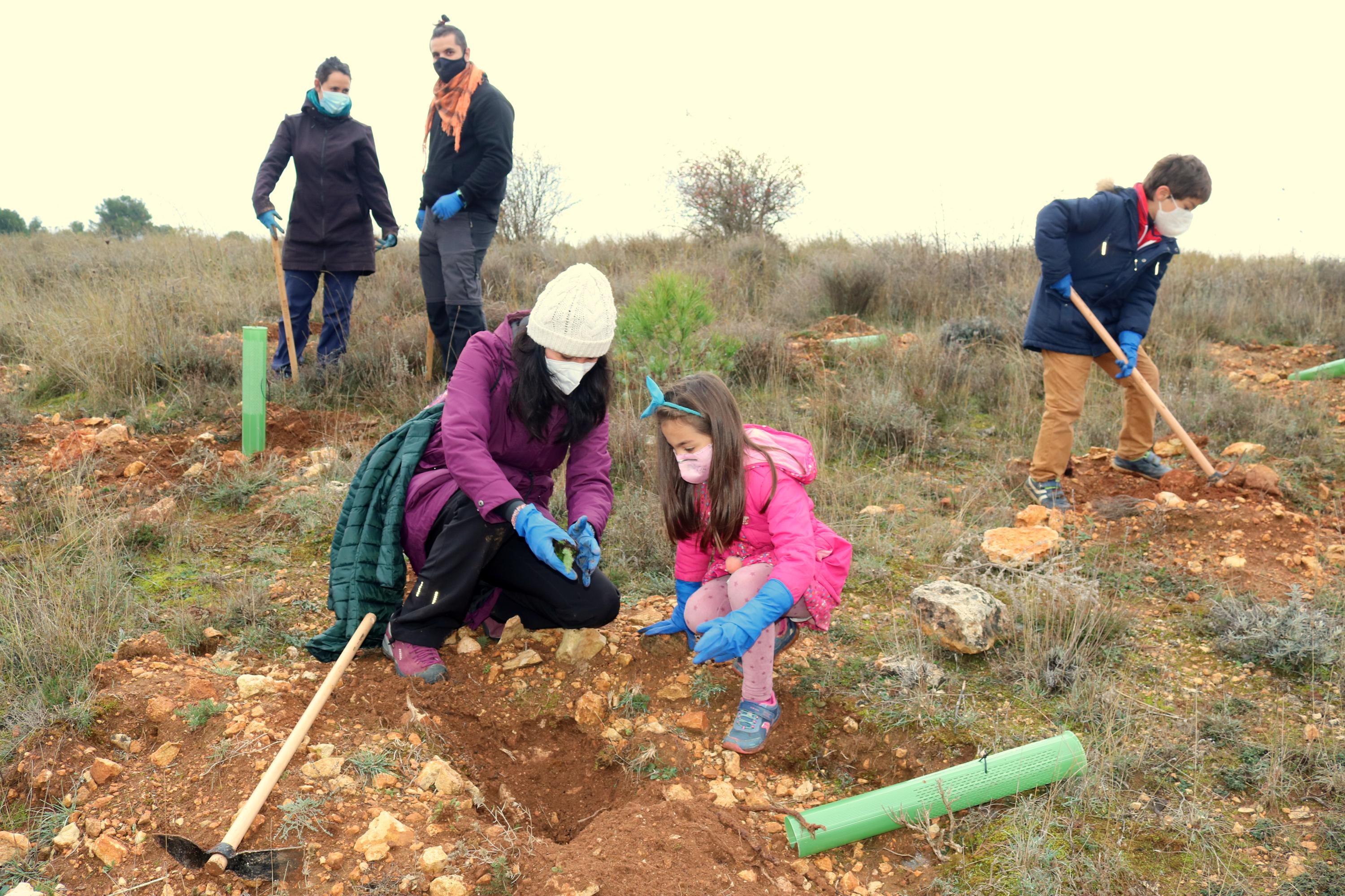 Villamuriel de Cerrato lleva a cabo una plantación de 1.000 árboles