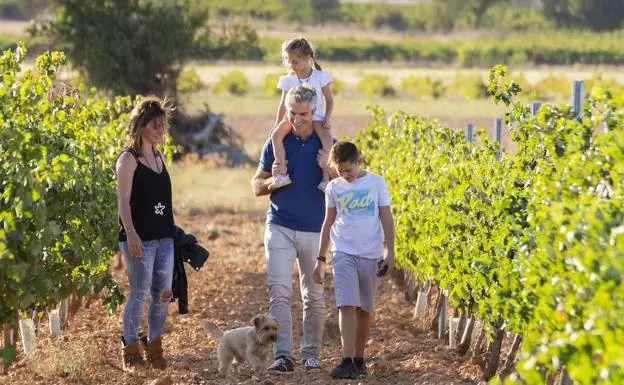 La Ruta del Vino Cigales, entre los diez destinos mejor preparados para el turismo con mascotas