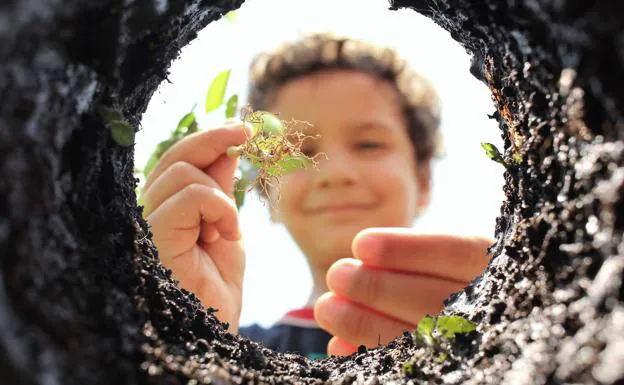 Expertos internacionales abordan la conciencia ecológica en niños