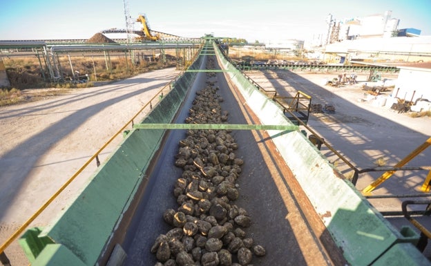 La cooperativa Acor acepta la renuncia de cuatro vocales e incorpora a dos suplentes