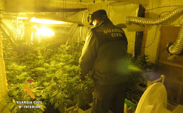 Salamanca es la provincia de la región donde más hachís intervino la GuardiaCivil