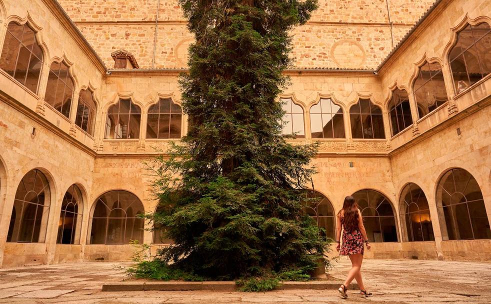 150 años 'viviendo' en la Universidad de Salamanca