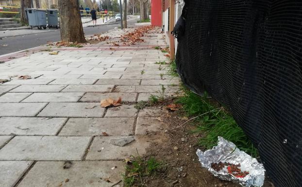 Detenido por apalear a un hombre por cuidar gatos callejeros en un solar de Barrio España en Valladolid