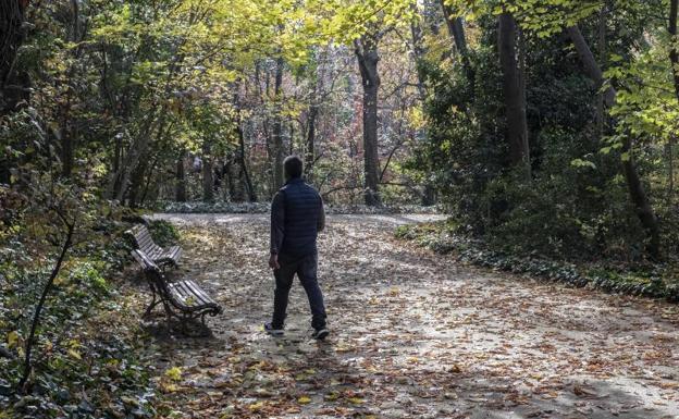 Un noviembre muy cálido sitúa 2020 camino de ser el año más caluroso de la historia en Valladolid