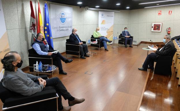 El CES reivindica la agricultura como sector clave para la reactivación económica de la región