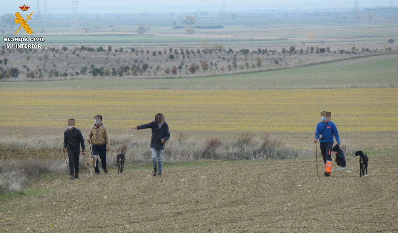 La Guardia Civil investiga a seis cazadores furtivos en la provincia de Palencia