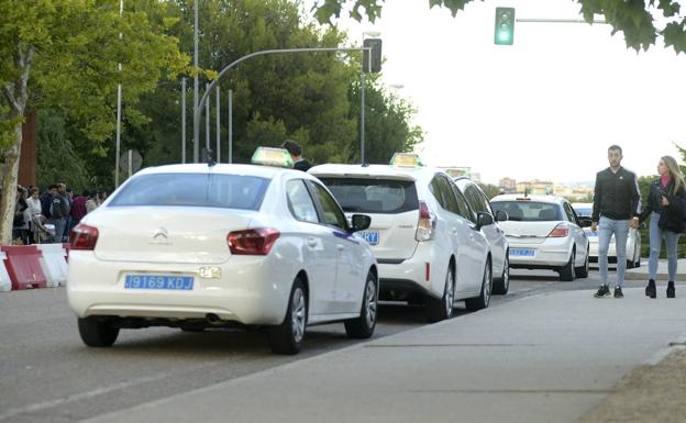 El Ayuntamiento de Valladolid congela la bajada de bandera y el precio del kilómetro de taxi y solo sube el importe mínimo