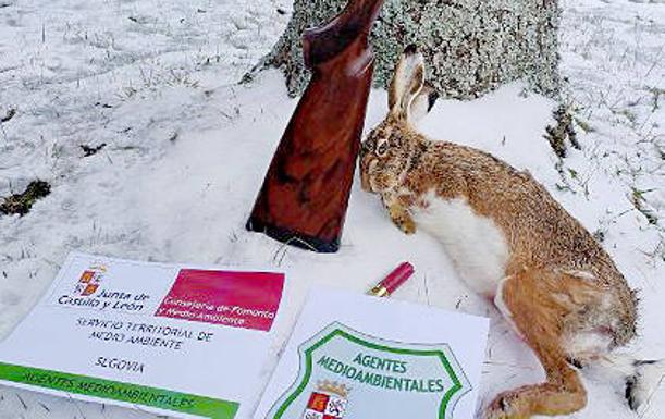 El sonido de los disparos permite pillar a un cazador furtivo en una finca de Palazuelos