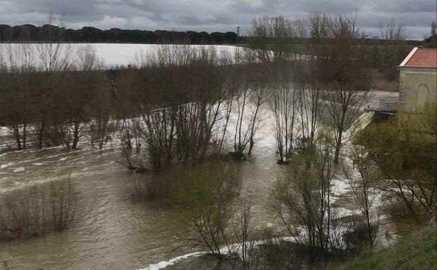 El río Adaja alcanza el nivel de alerta en Valdestillas por las aportaciones del Eresma
