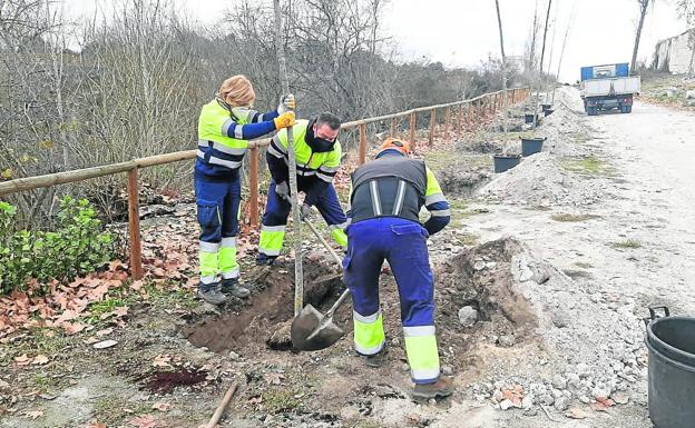 Cuéllar planta más de 60 nuevos árboles y supera los 2.600
