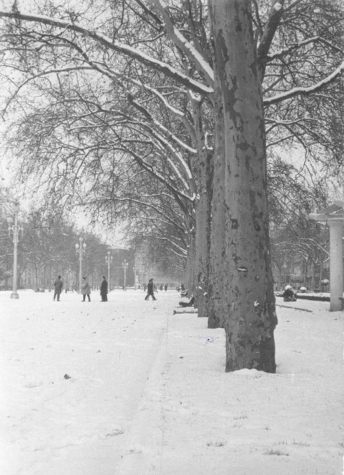 Estampas del Valladolid antiguo (LXI): inviernos de nieve