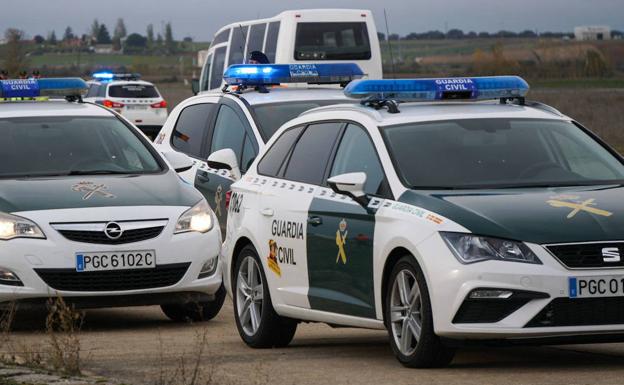 Tres jóvenes investigados por matar a un gato con un rifle de caza mayor desde un vehículo en Candeleda
