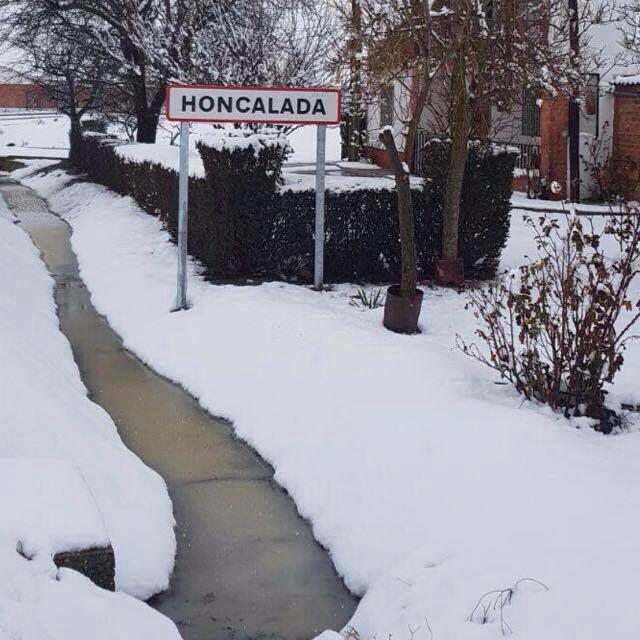 'Filomena' cubre de blanco la provincia de Valladolid