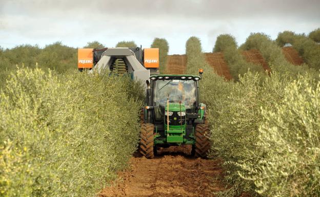 Subida de la renta y PIB agrario