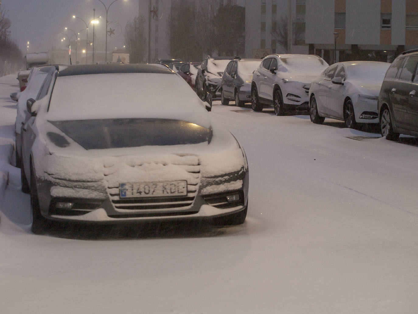 Nieve en Laguna de Duero