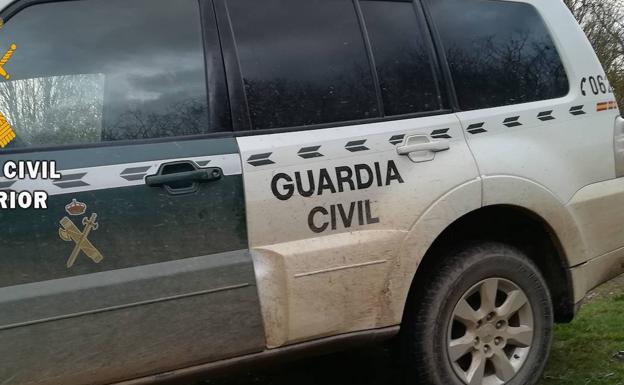 Un cazador furtivo cuelga un vídeo en el que su galgo ataca una corza en un coto de Villafrechós