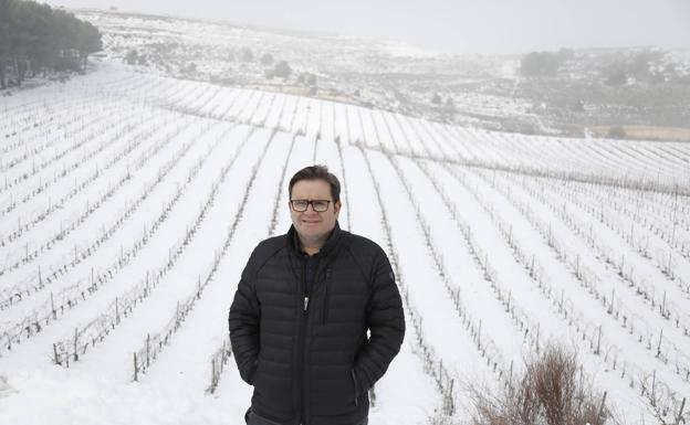 Las nevadas auguran un buen año para la viña