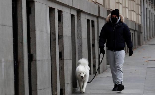 Laguna no sancionará a quien pasee a su mascota entre las 20:00 y 22:00 horas
