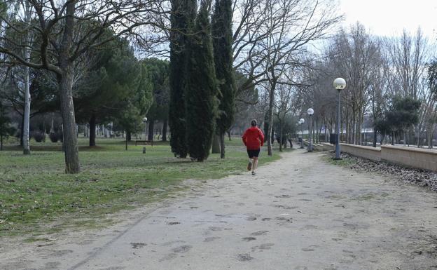 El Ayuntamiento de Salamanca pone en marcha medidas preventivas debido a la previsión de fuertes rachas de viento