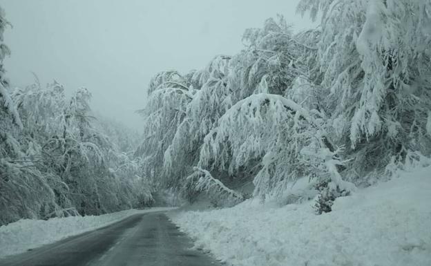 La nieve y el hielo obligan a usar cadenas en ocho puertos y a extremar la precaución en diez tramos de Castilla y León