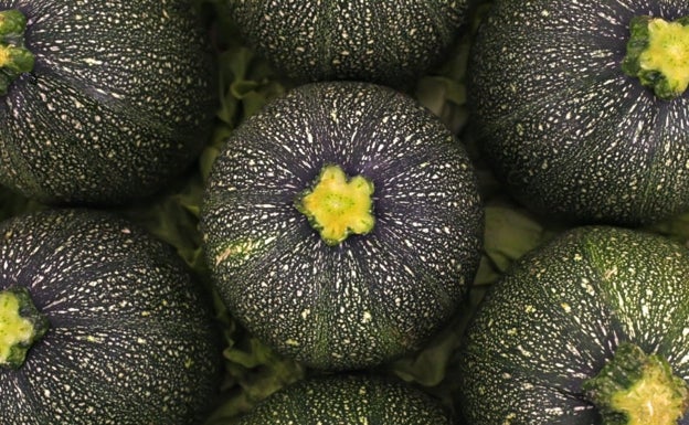 Calabacín, la hortaliza ideal para una dieta light