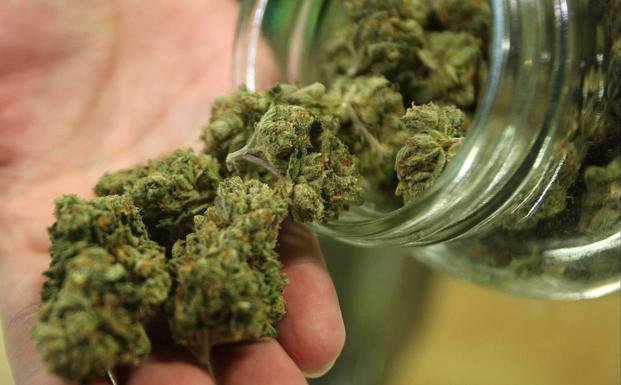 Petición de cárcel para tres miembros de un 'club' de consumo de marihuana en Valladolid