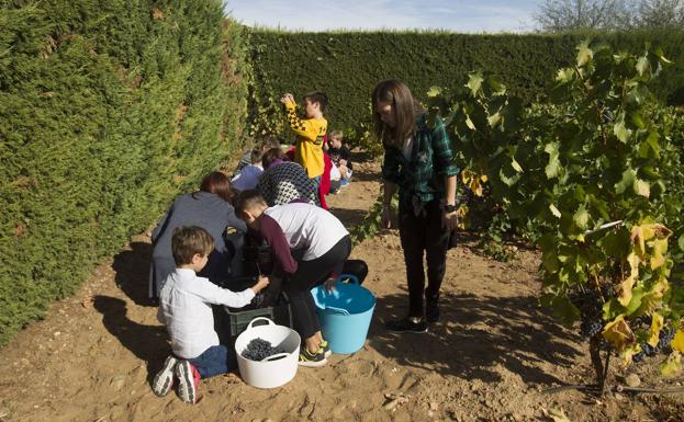 La Junta aumenta las ayudas a las rutas de vino certificadas hasta los 230.000 euros por la pandemia