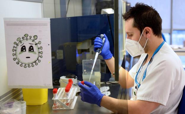 La cepa británica del coronavirus ya circulaba por Castilla y León en diciembre