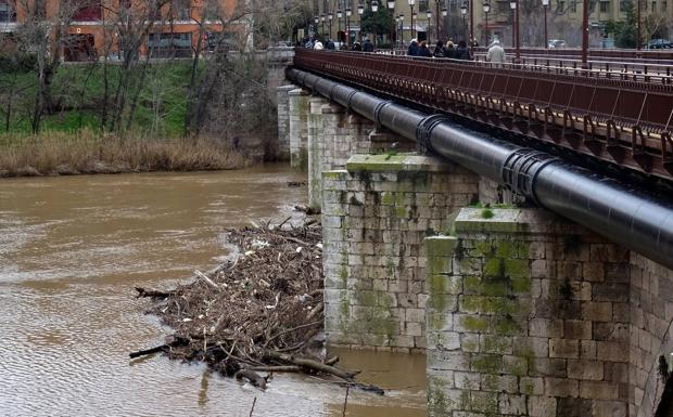 El Pisuerga vuelve a su cauce y deja un tapón de troncos en el Puente Mayor de Valladolid