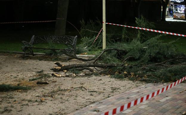 El Ayuntamiento de Salamanca cierra varios parques debido a la previsión de fuertes rachas de viento