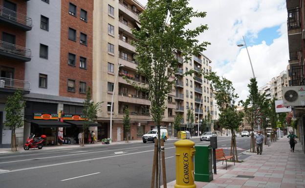 El Consistorio de Salamanca repondrá 600 árboles en todos los barrios de la ciudad