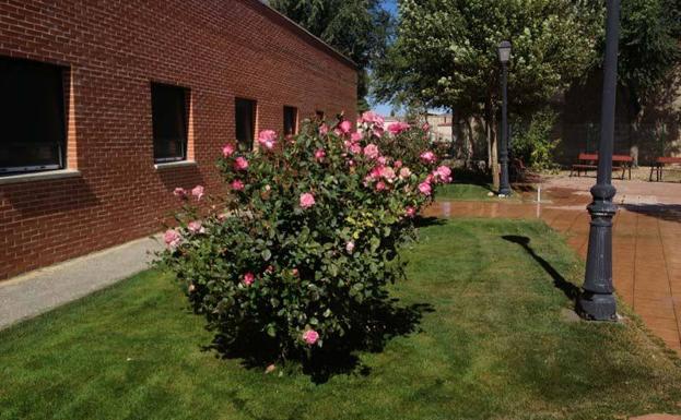 Seis usuarios de una residencia de Palencia dan positivo tras recibir la segunda dosis de la vacuna
