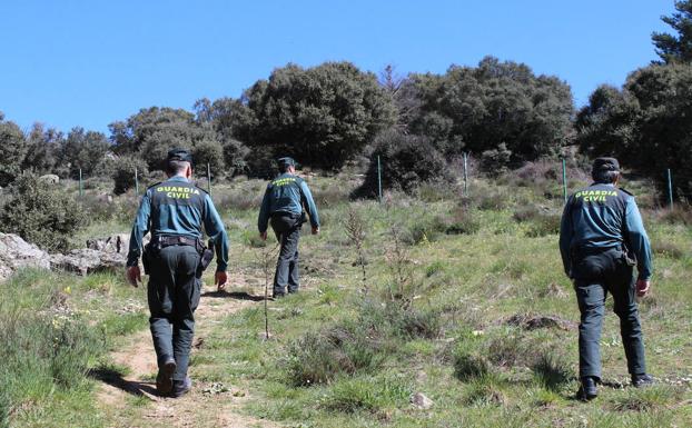 El Seprona investiga a una persona como supuesta autora de un delito de caza furtiva