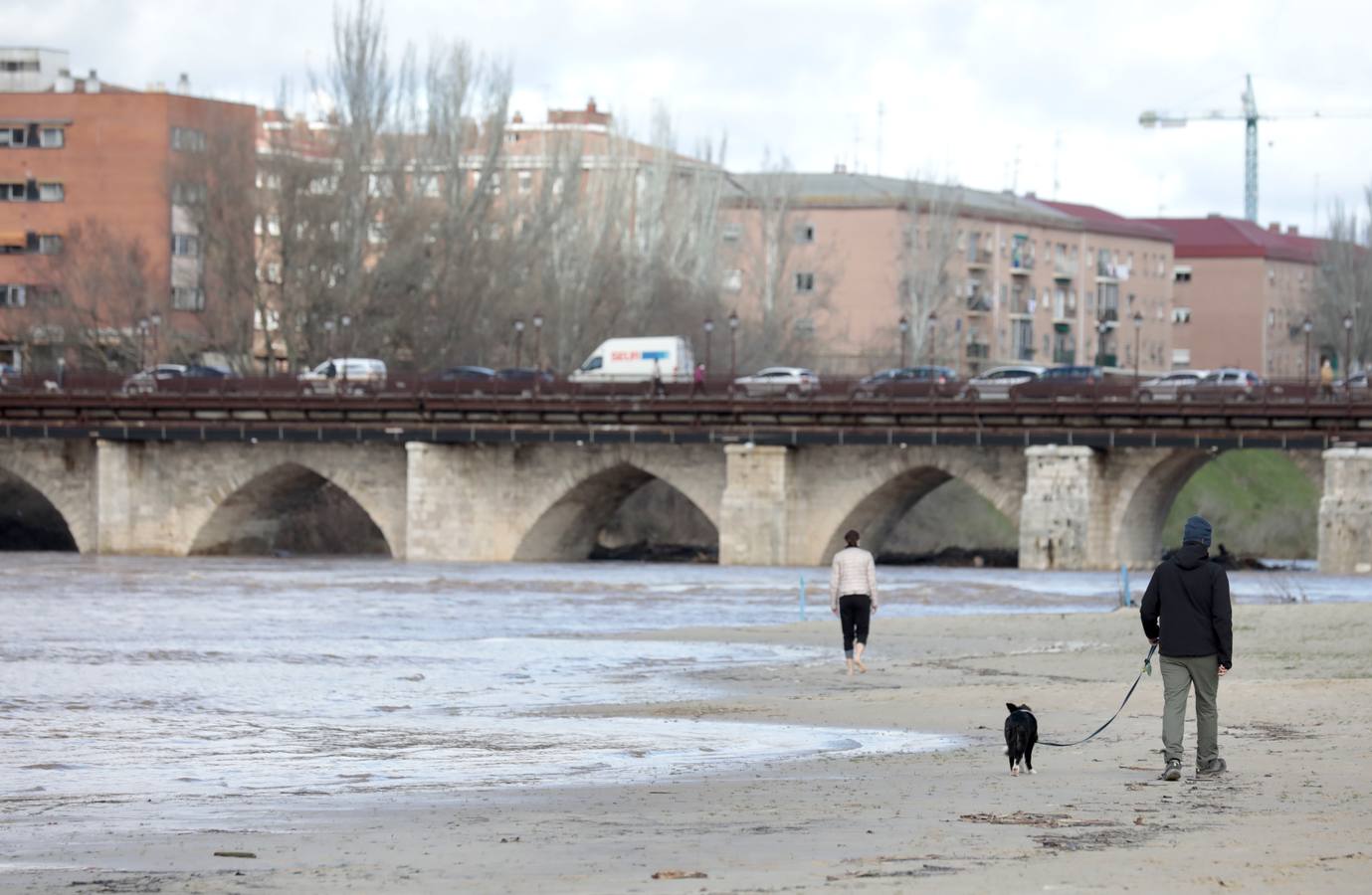 Crecida del río Pisuerga a su paso por Valladolid