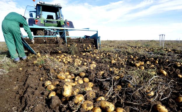 La ecuación del coste efectivo de producción