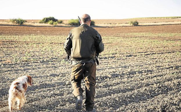 Herido un cazador tras ser arrollado por un jabalí en San Felices de Los Gallegos