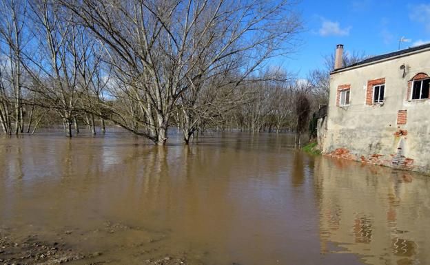 El Duero, Adaja y Órbigo mantienen la alerta por elevados caudales en Valladolid y Zamora