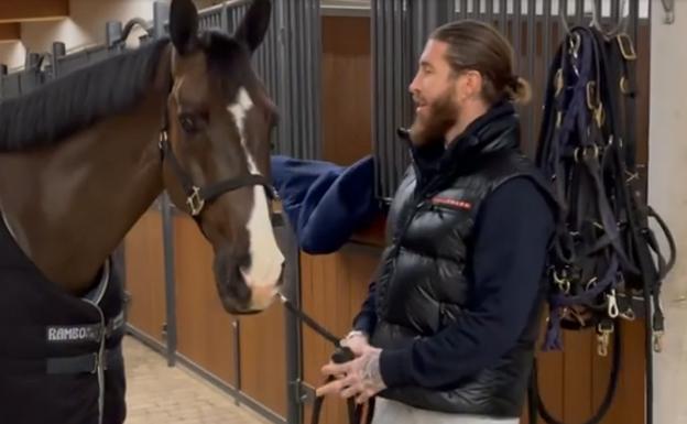 Sergio Ramos paga por un caballo 1,5 millones de euros