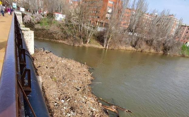 El Ayuntamiento retirará el martes la isla de troncos que tapona el Puente Mayor en Valladolid