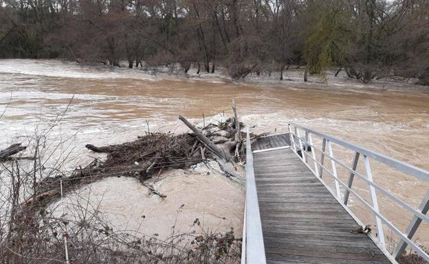 La crecida del Duero remite y deja un lodazal en los parques de sus riberas en la provincia de Valladolid