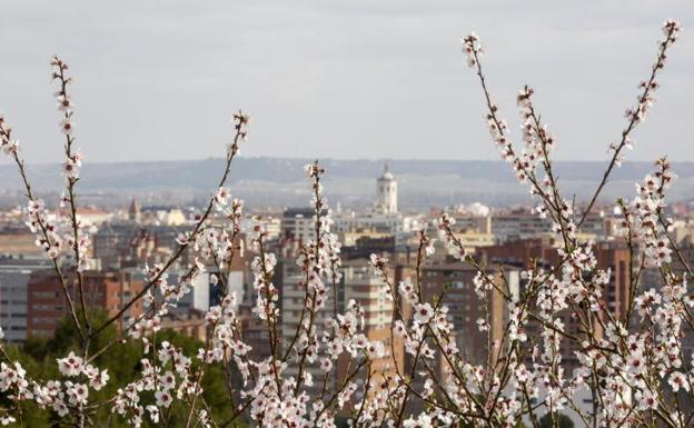 Febrero deja un registro histórico de temperaturas mínimas elevadas en Valladolid