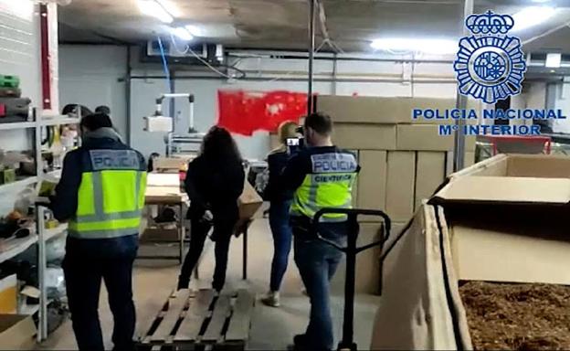 La red que producía tabaco en Valladolid tenía capacidad para generar 800.000 euros diarios