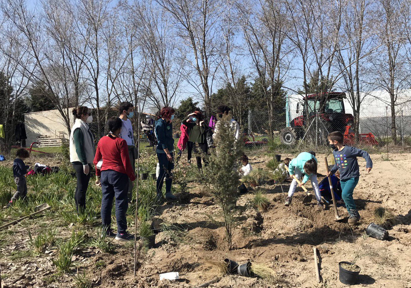 Un centenar de personas participa en la plantación de 400 árboles en Navas de Oro