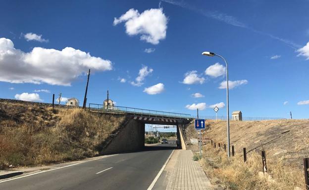 La carretera Lumbrales suma 18 accidentes con animales en un año