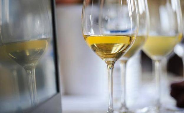 Las catas para el XII Concurso Mundial de Sauvignon comienzan en Bruselas